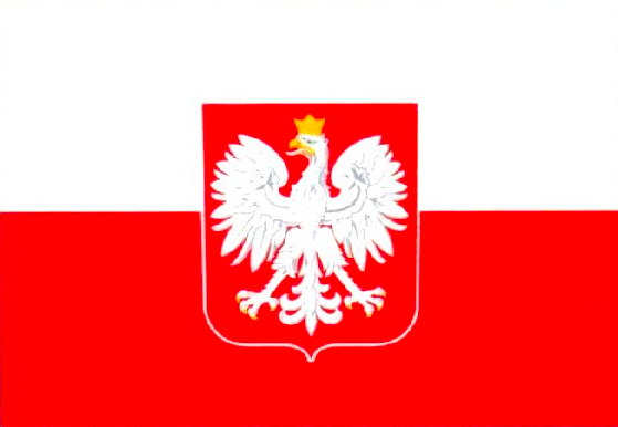 FLAG_波兰